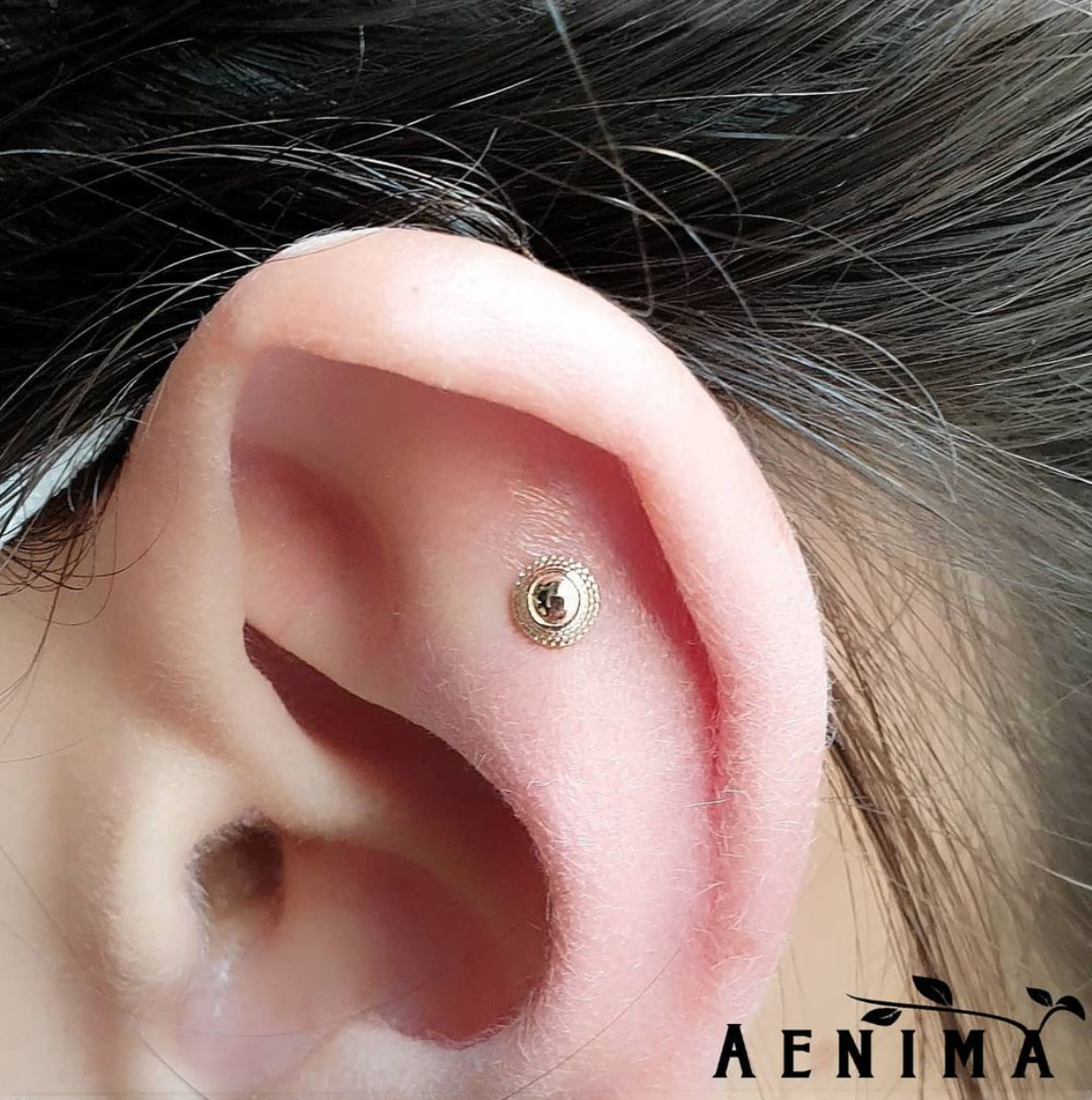 Anatometal - Hera-thumbmail-4