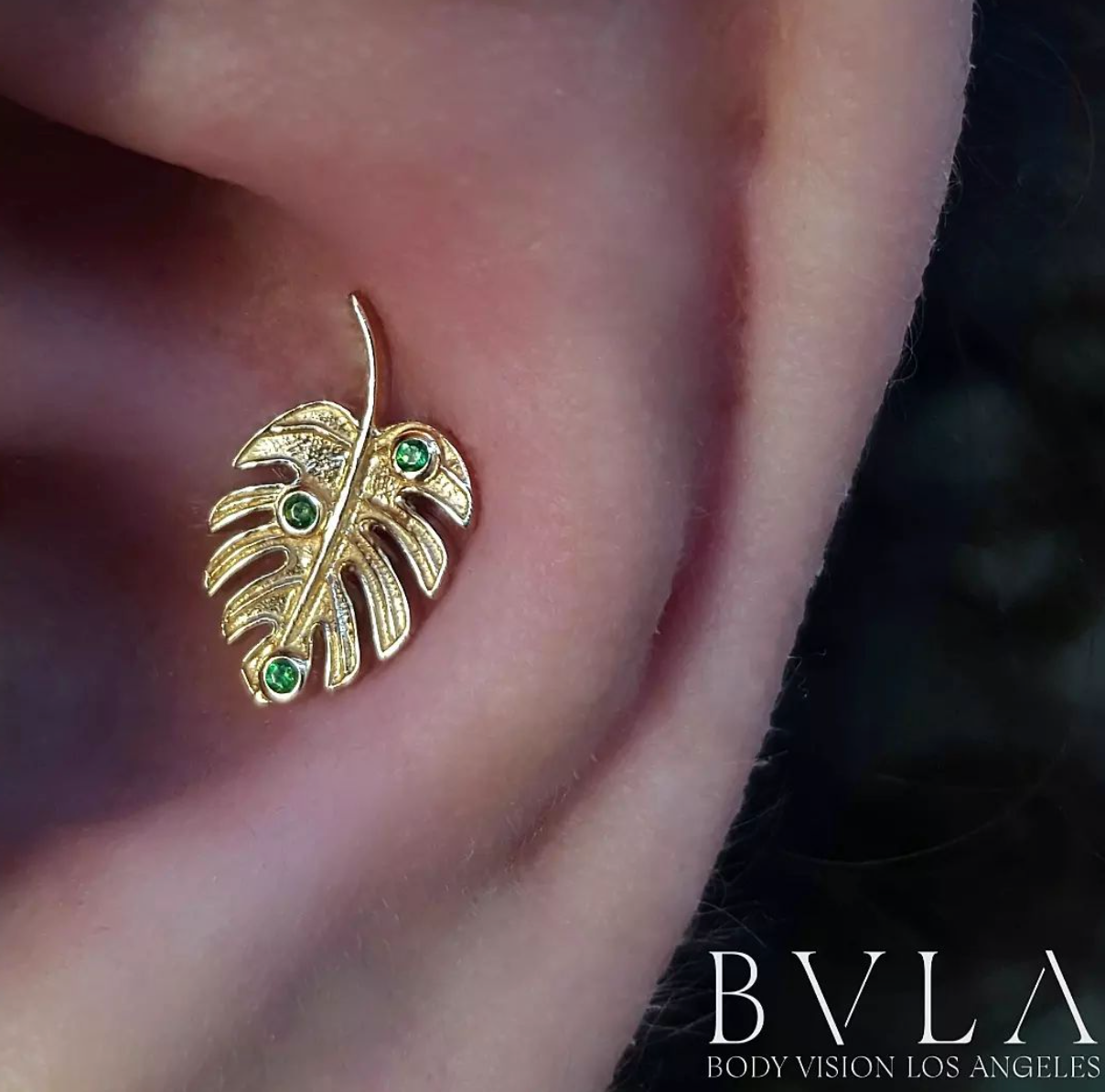 BVLA - Monstera Leaf - Rainforest Topaz-thumbmail-2