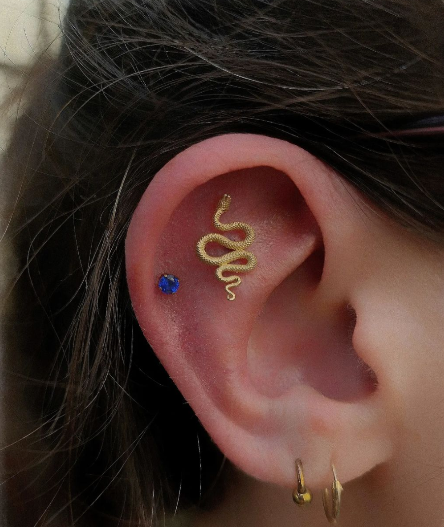 Anatometal - Snake-thumbmail-4