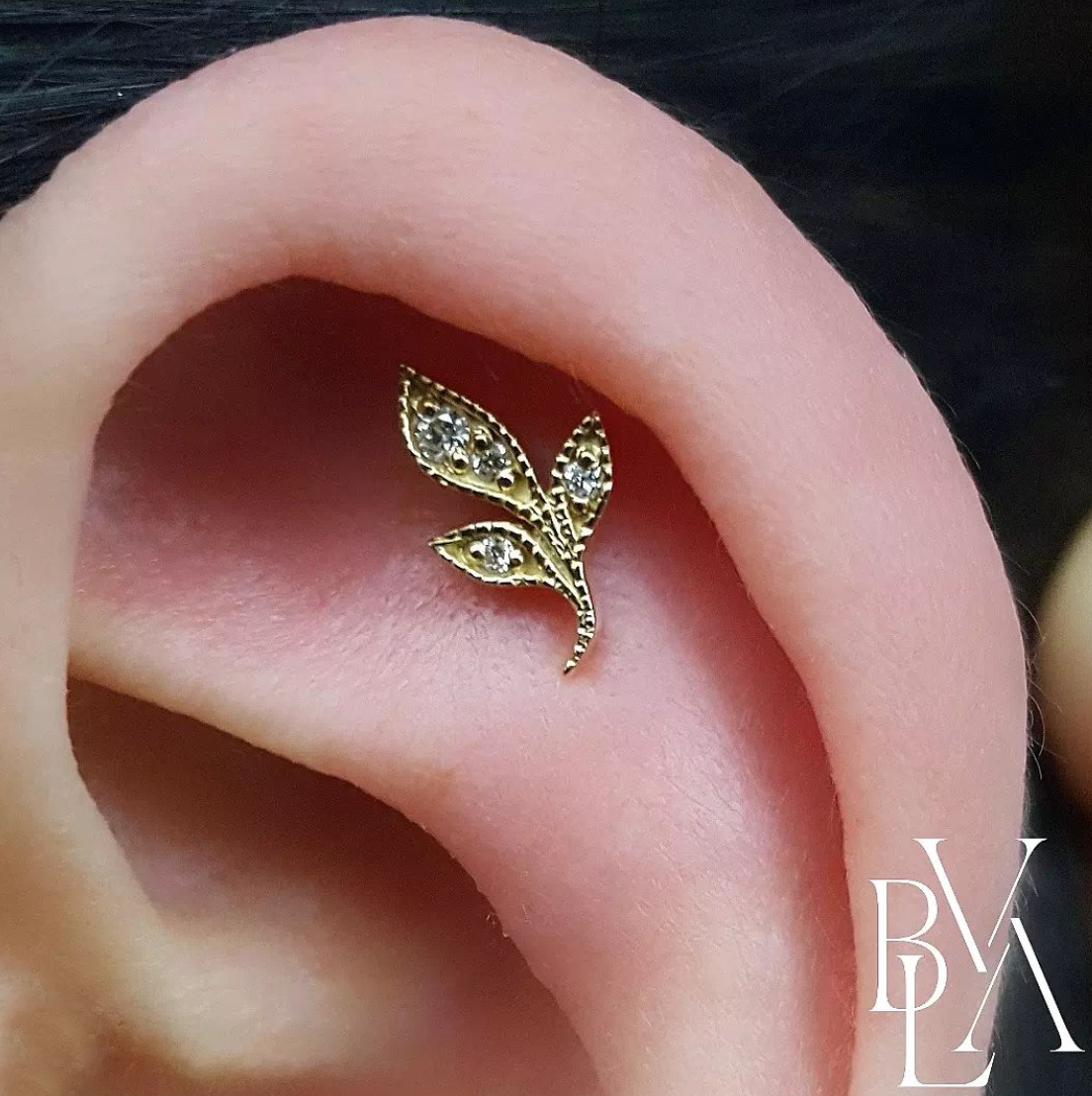 BVLA - Mini Wisteria - Diamond-thumbmail-2