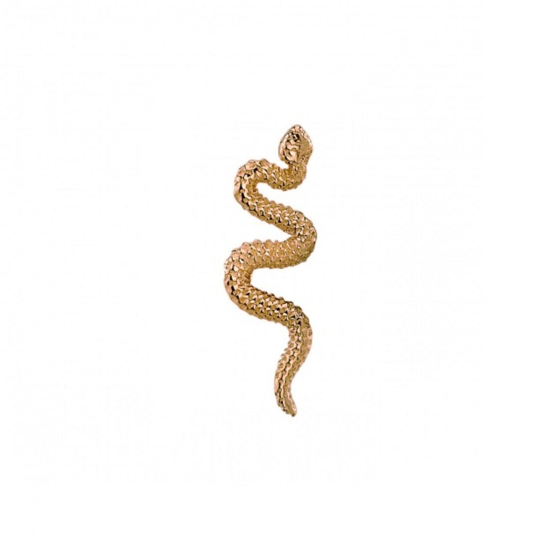 BVLA - Delicate Snake-thumbmail-4