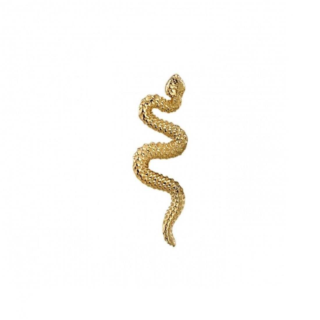 BVLA - Delicate Snake-thumbmail-3