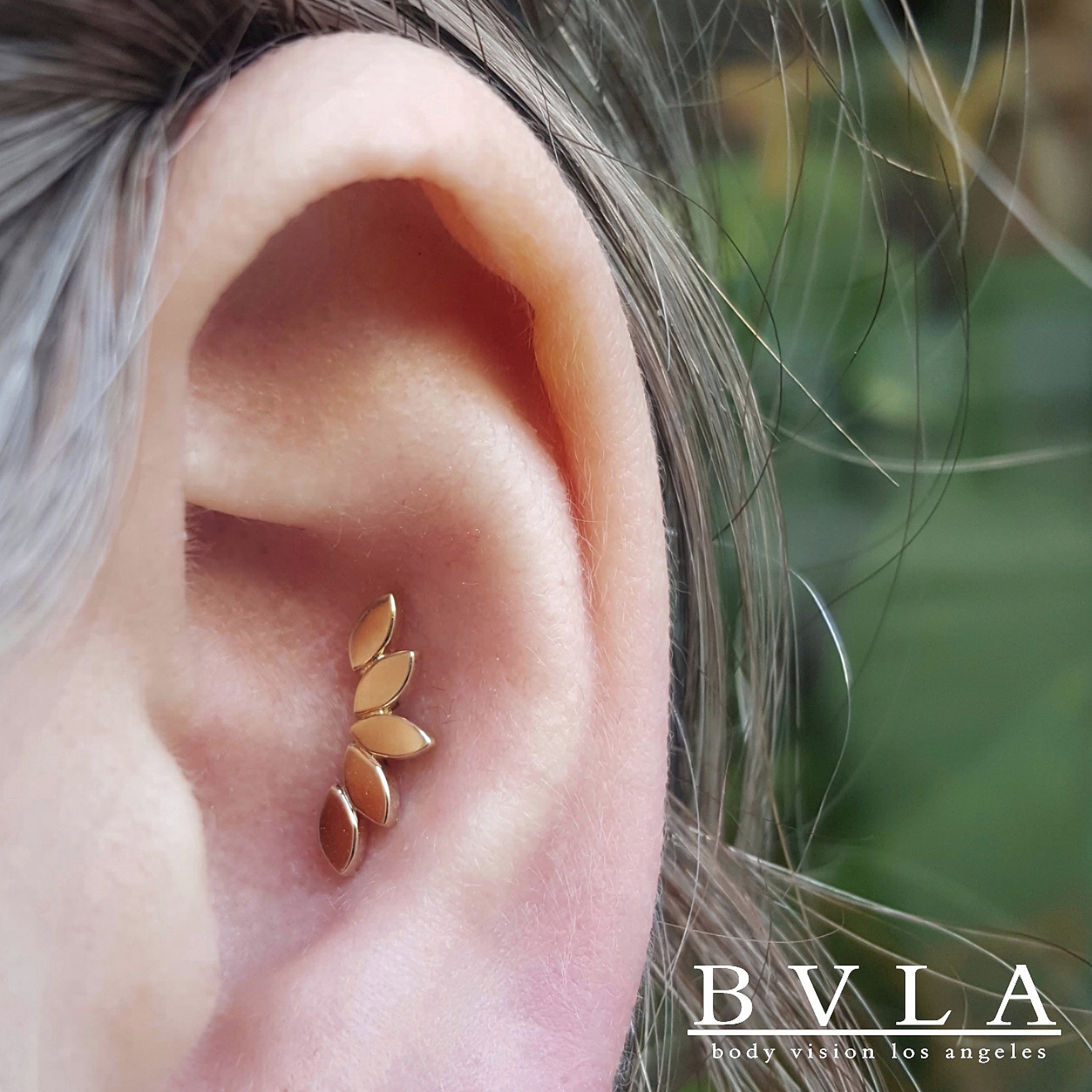 BVLA - Serenity flat-thumbmail-3