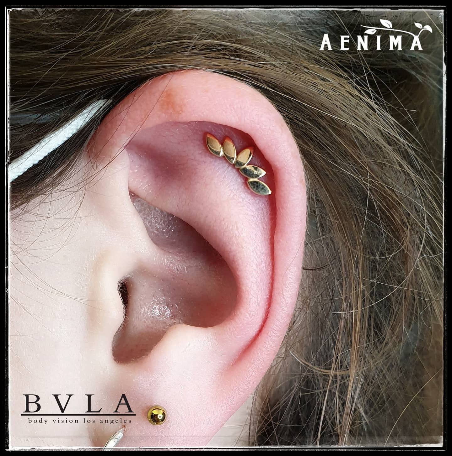 BVLA - Serenity flat-thumbmail-2