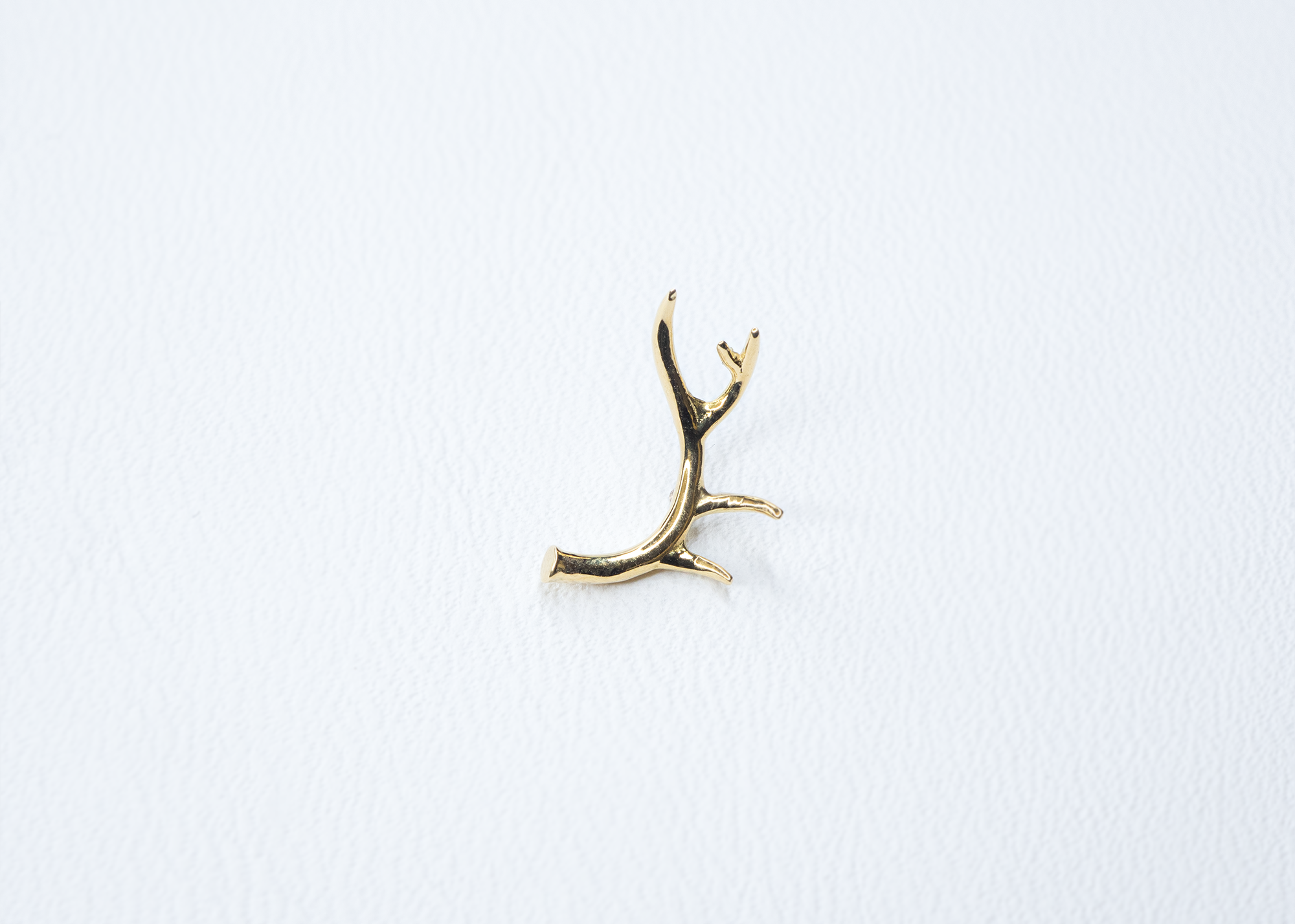 BVLA - Antler-thumbmail-3