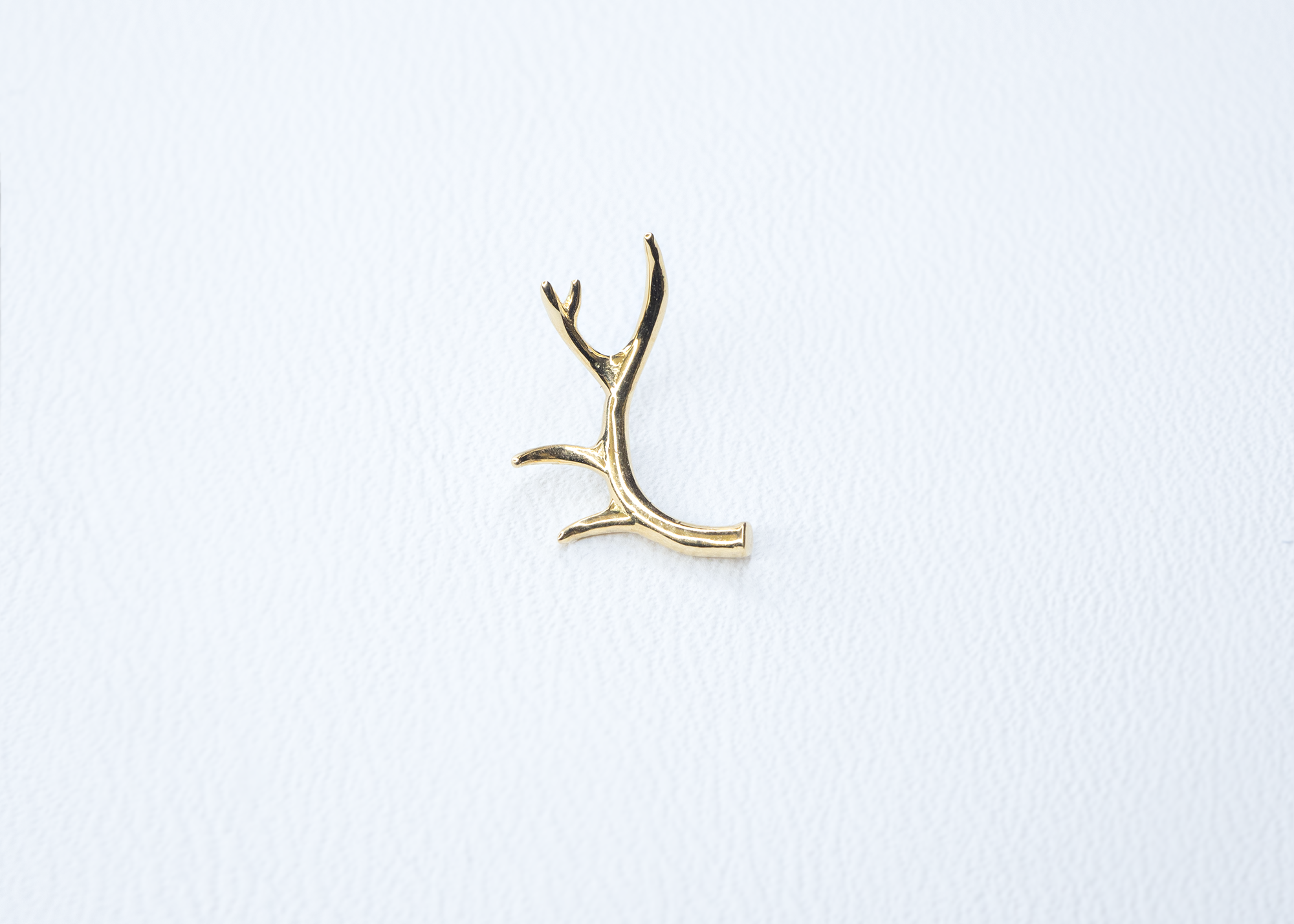 BVLA - Antler-thumbmail-2