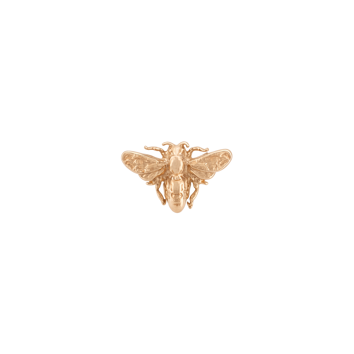 Anatometal - Bee-thumbmail-4