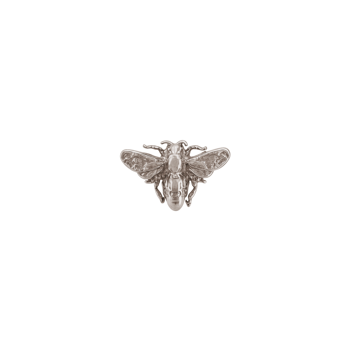 Anatometal - Bee-thumbmail-3