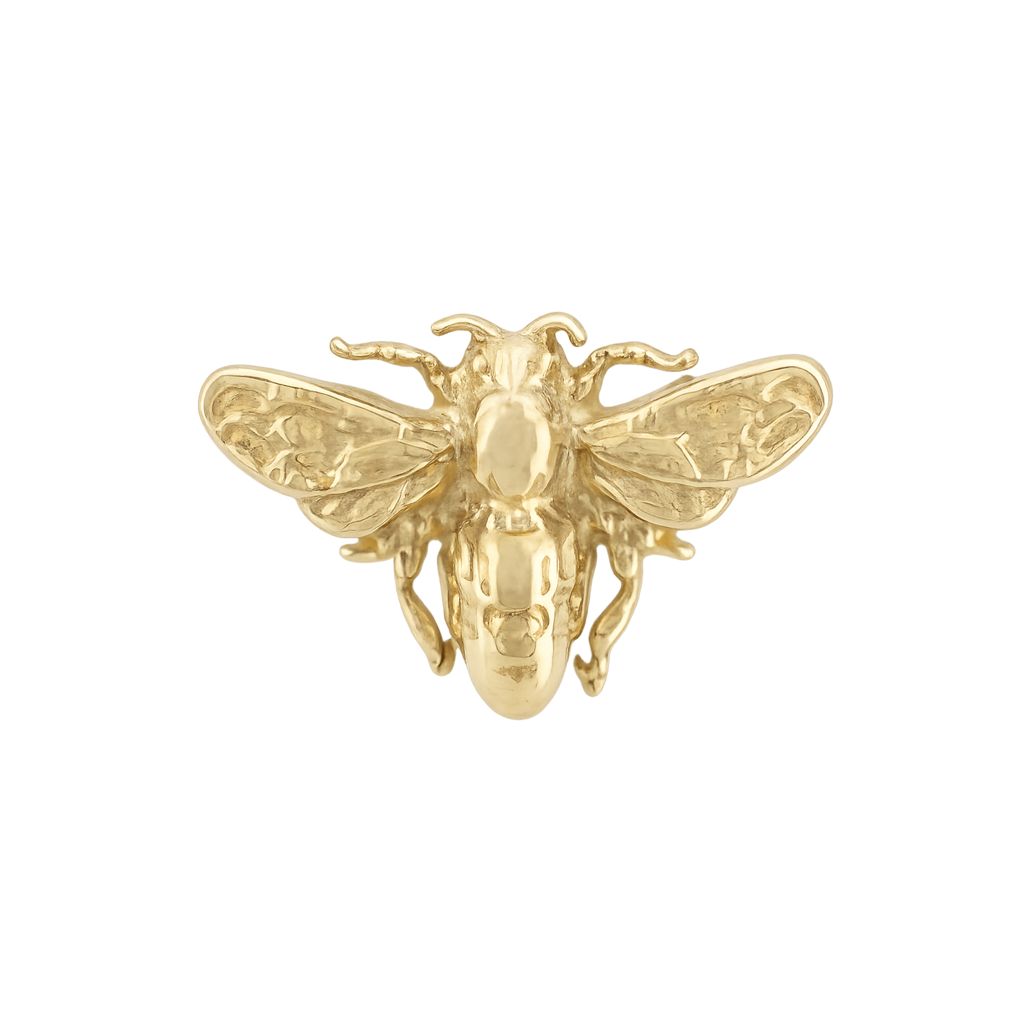 Anatometal - Bee