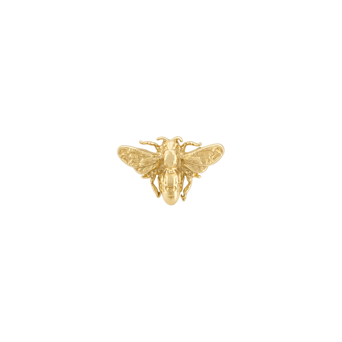 Anatometal - Bee