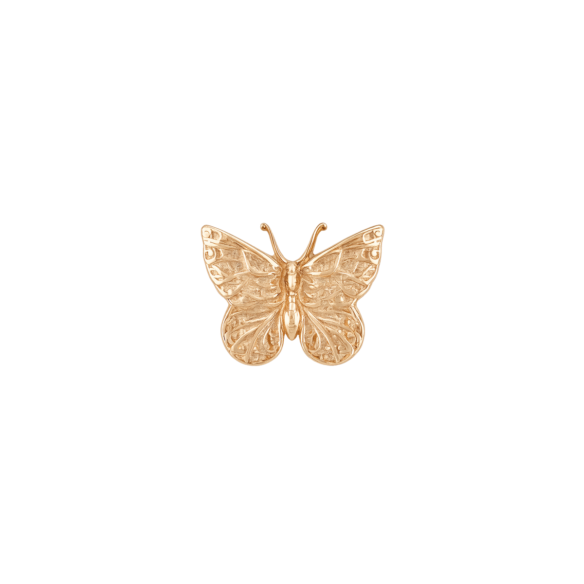 Anatometal - Butterfly-thumbmail-3