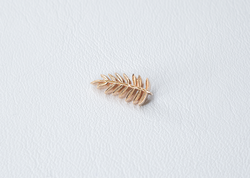 BVLA - Fern-thumbmail-5