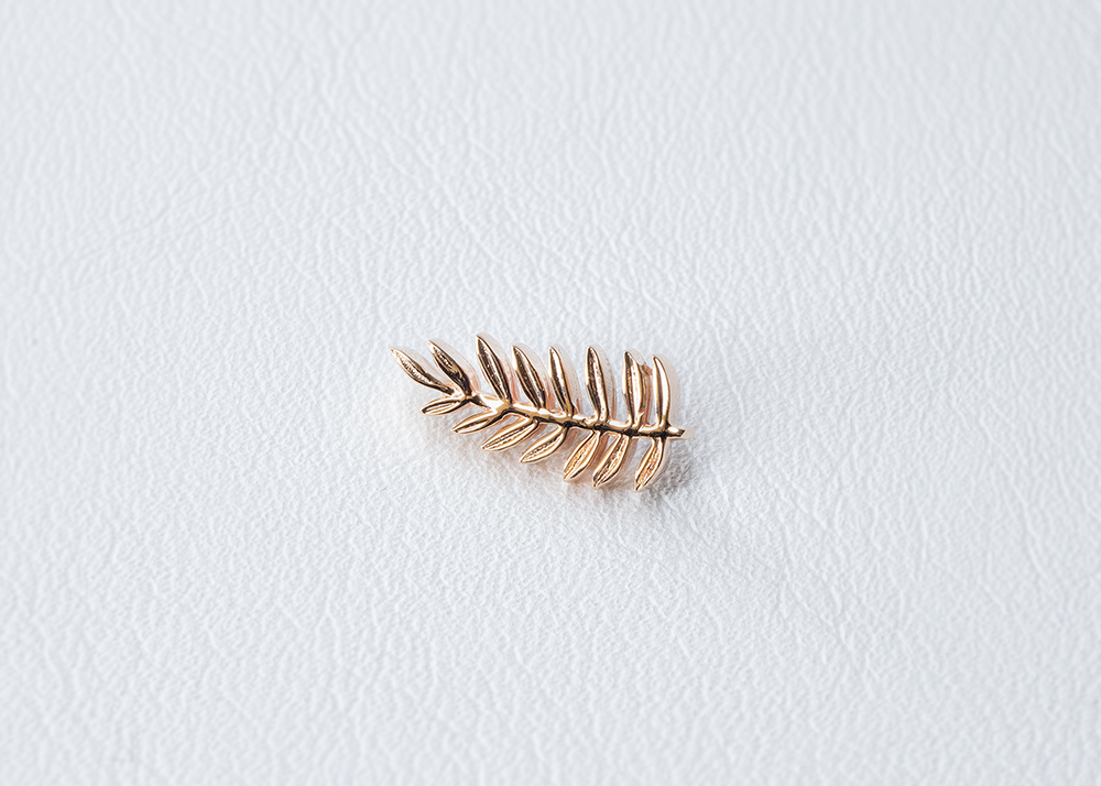 BVLA - Fern-thumbmail-4