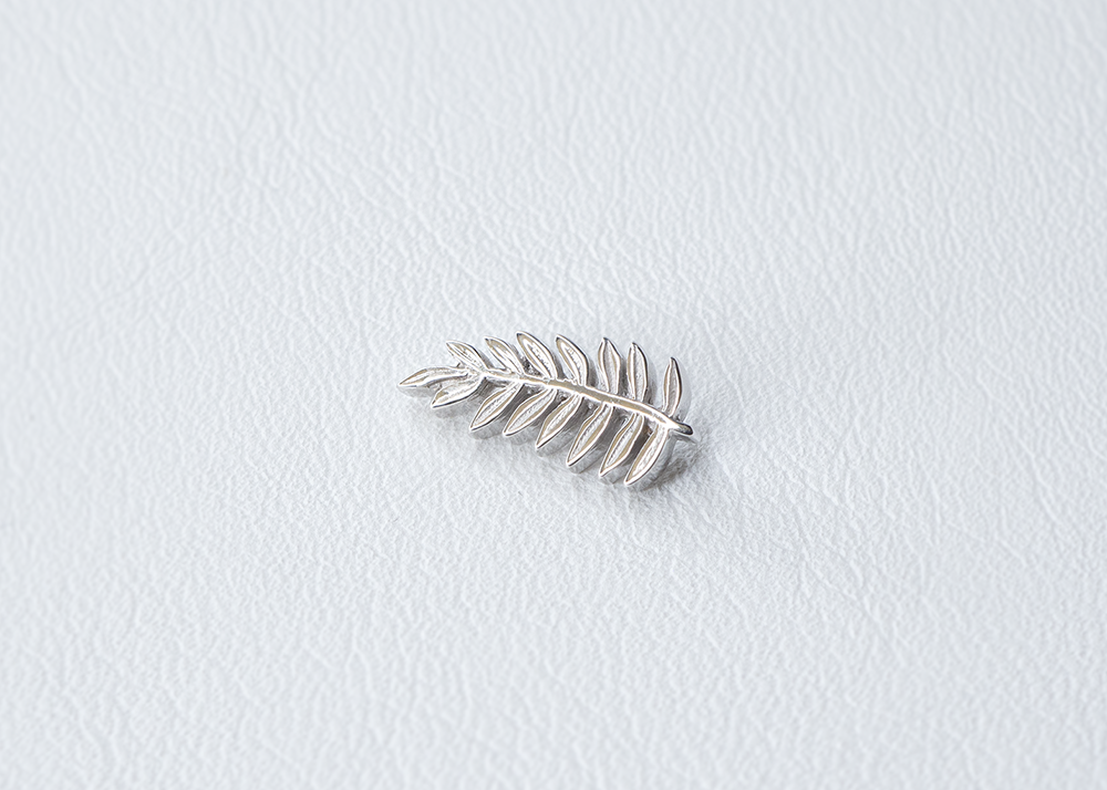 BVLA - Fern-thumbmail-6