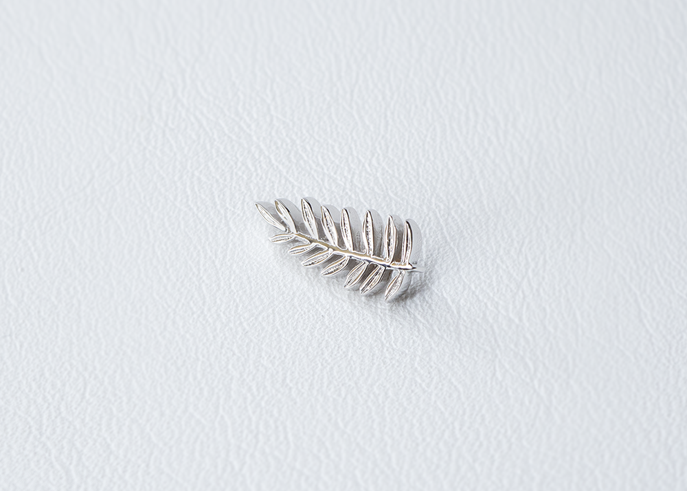 BVLA - Fern-thumbmail-7