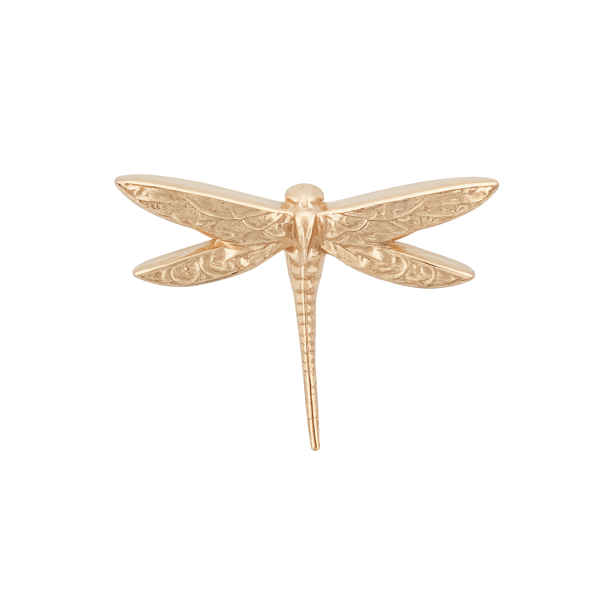 Anatometal - Dragonfly-thumbmail-3