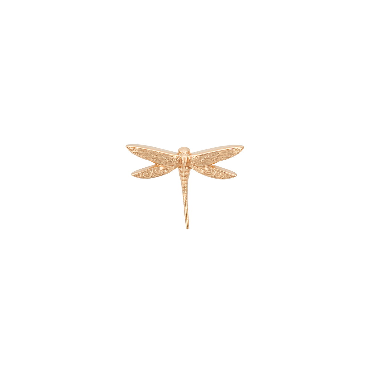 Anatometal - Dragonfly-thumbmail-3