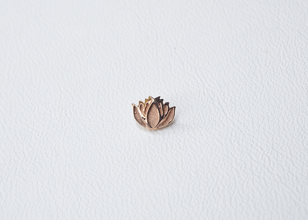 BVLA - Lotus-thumbmail-3
