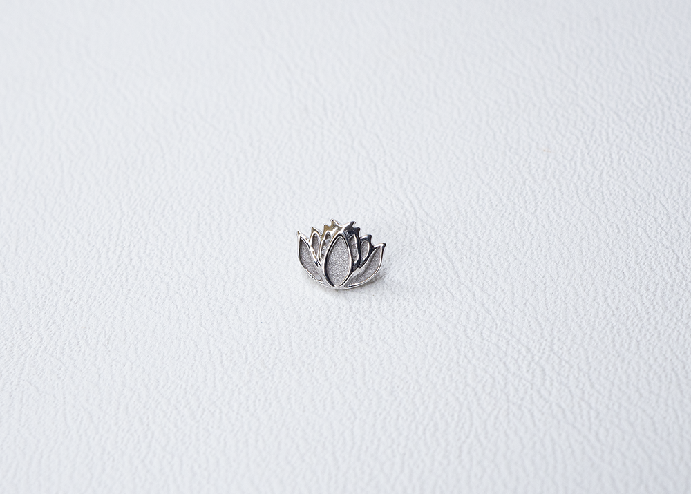 BVLA - Lotus-thumbmail-2