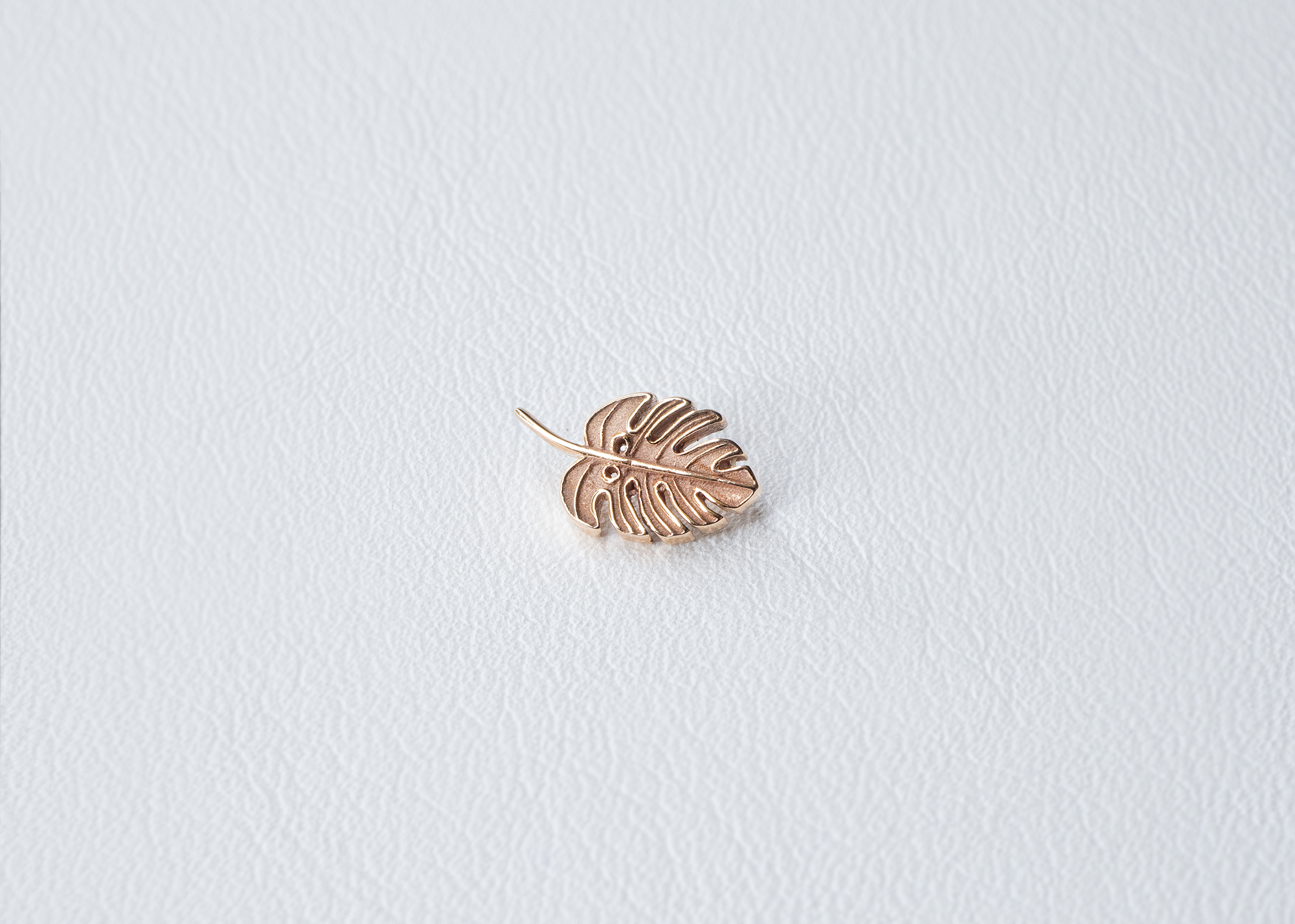 BVLA - Monstera Leaf-thumbmail-3
