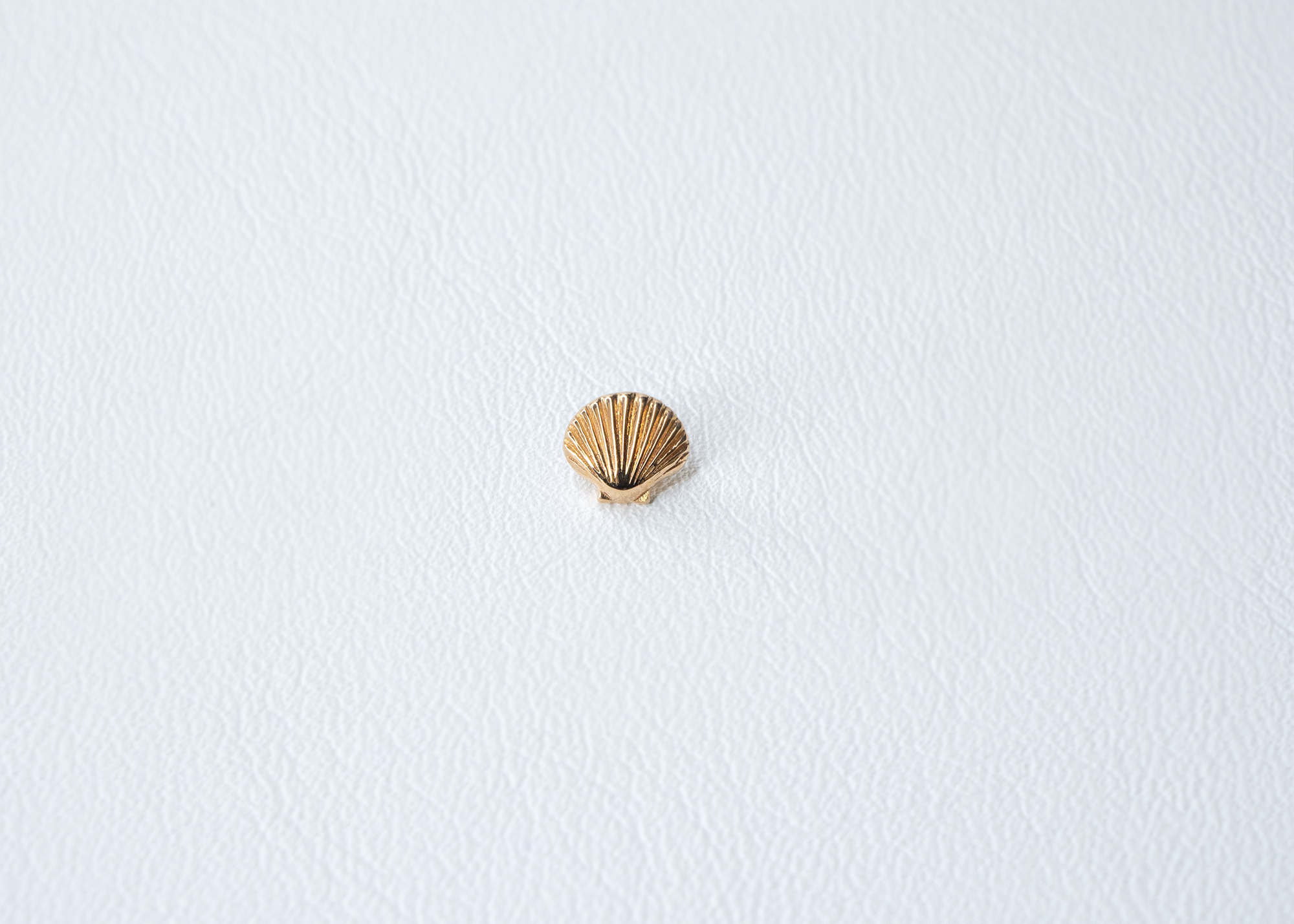 BVLA - Sea Shell-thumbmail-4
