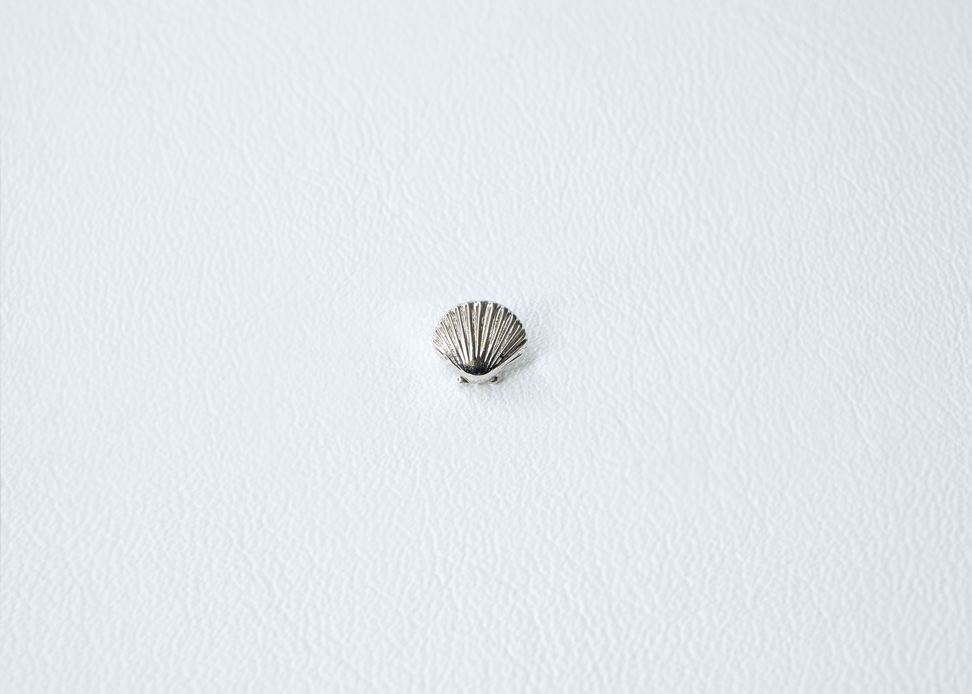 BVLA - Sea Shell-thumbmail-2