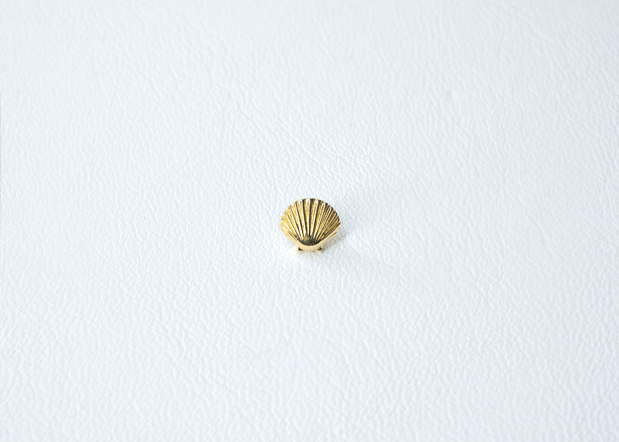 BVLA - Sea Shell-thumbmail-3