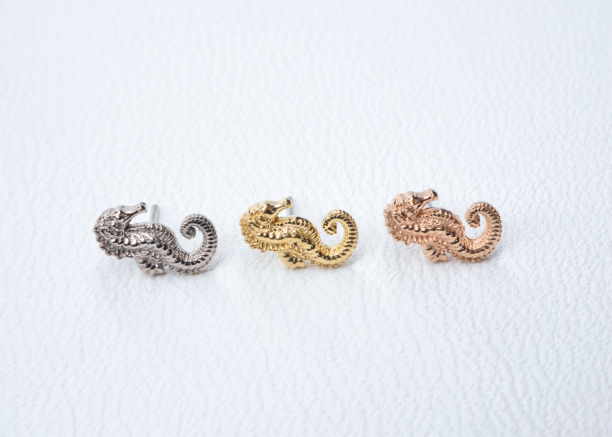 Anatometal - Seahorse-thumbmail-4