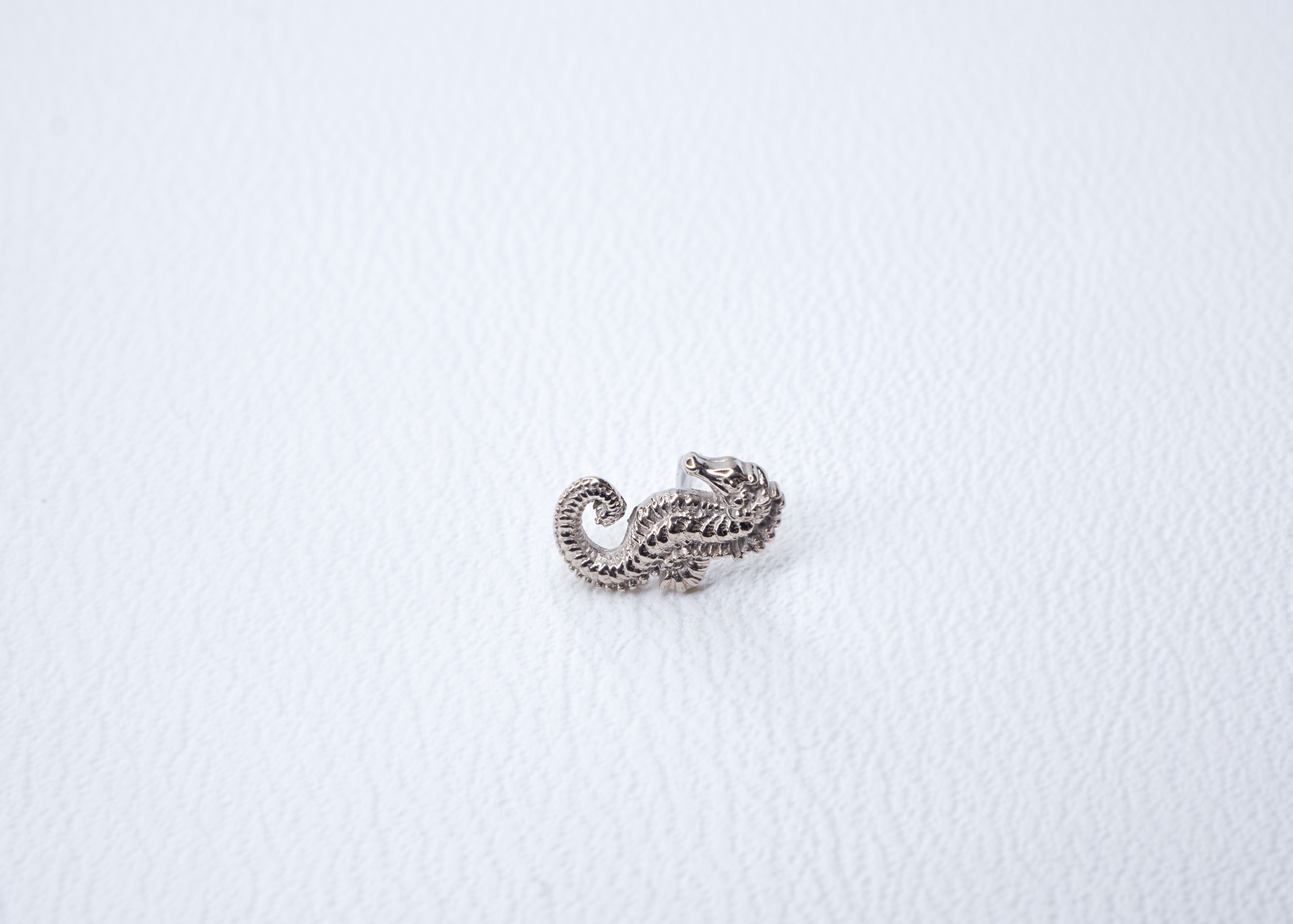 Anatometal - Seahorse-thumbmail-5