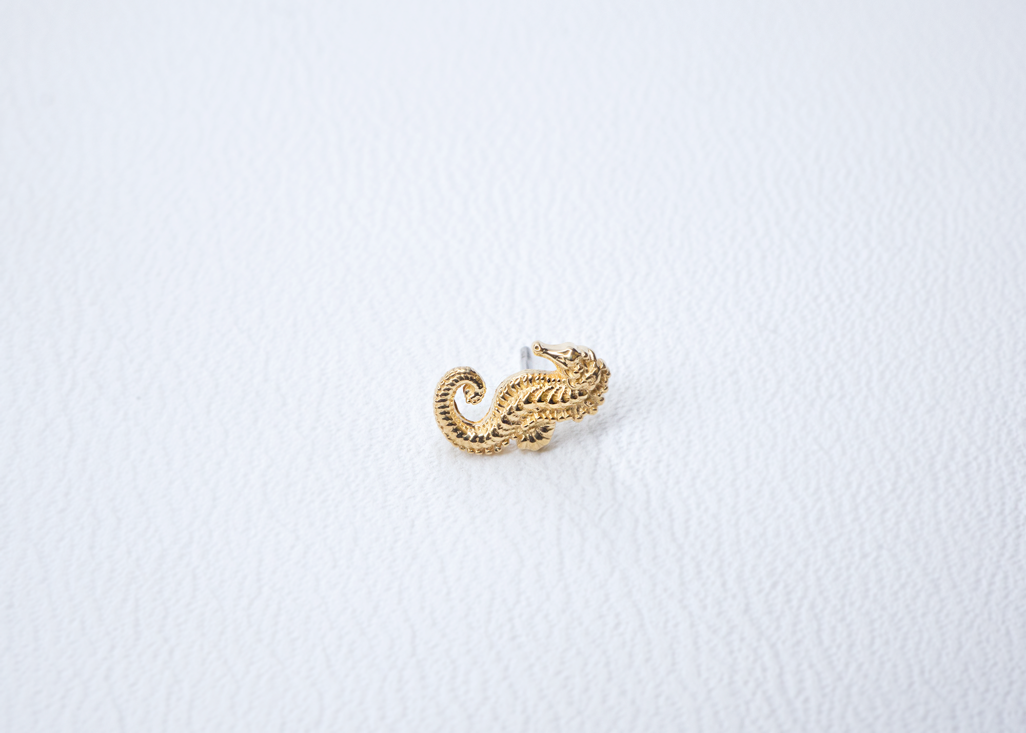 Anatometal - Seahorse-thumbmail-6