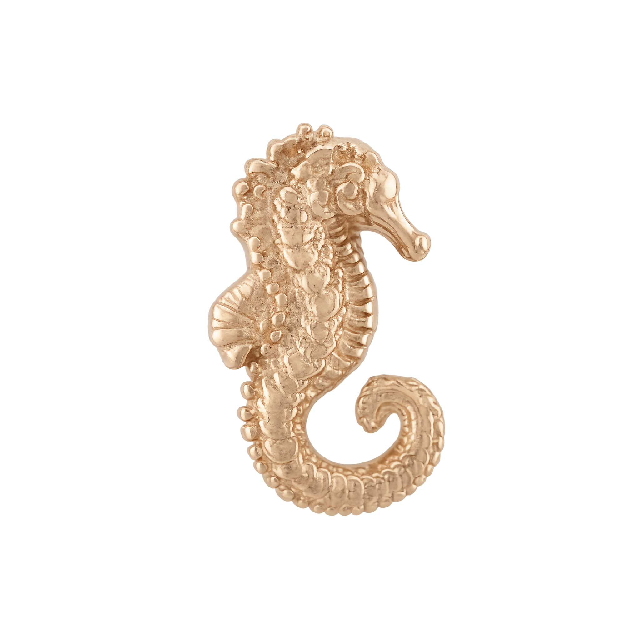 Anatometal - Seahorse-thumbmail-3