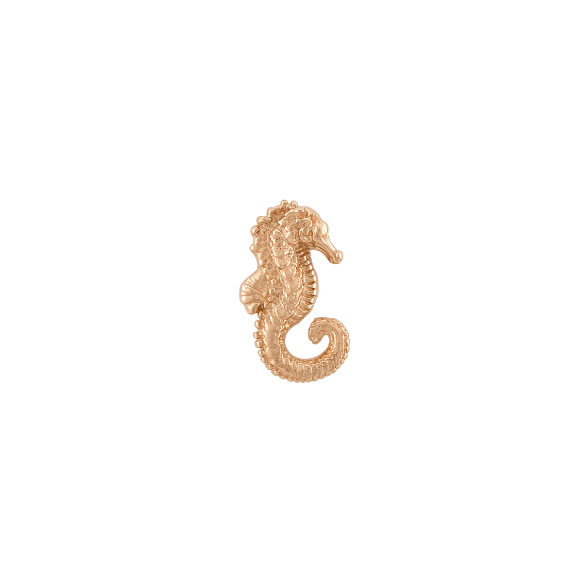 Anatometal - Seahorse-thumbmail-3