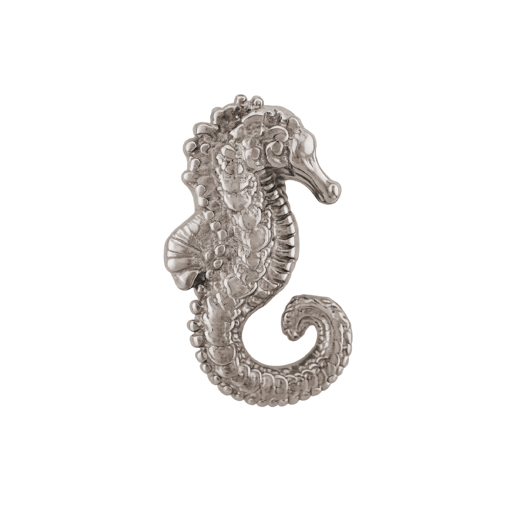 Anatometal - Seahorse-thumbmail-2
