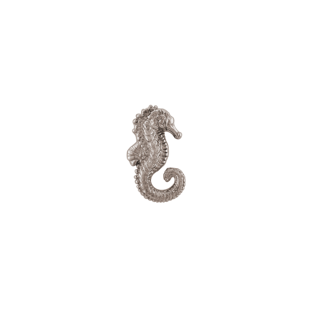 Anatometal - Seahorse-thumbmail-2