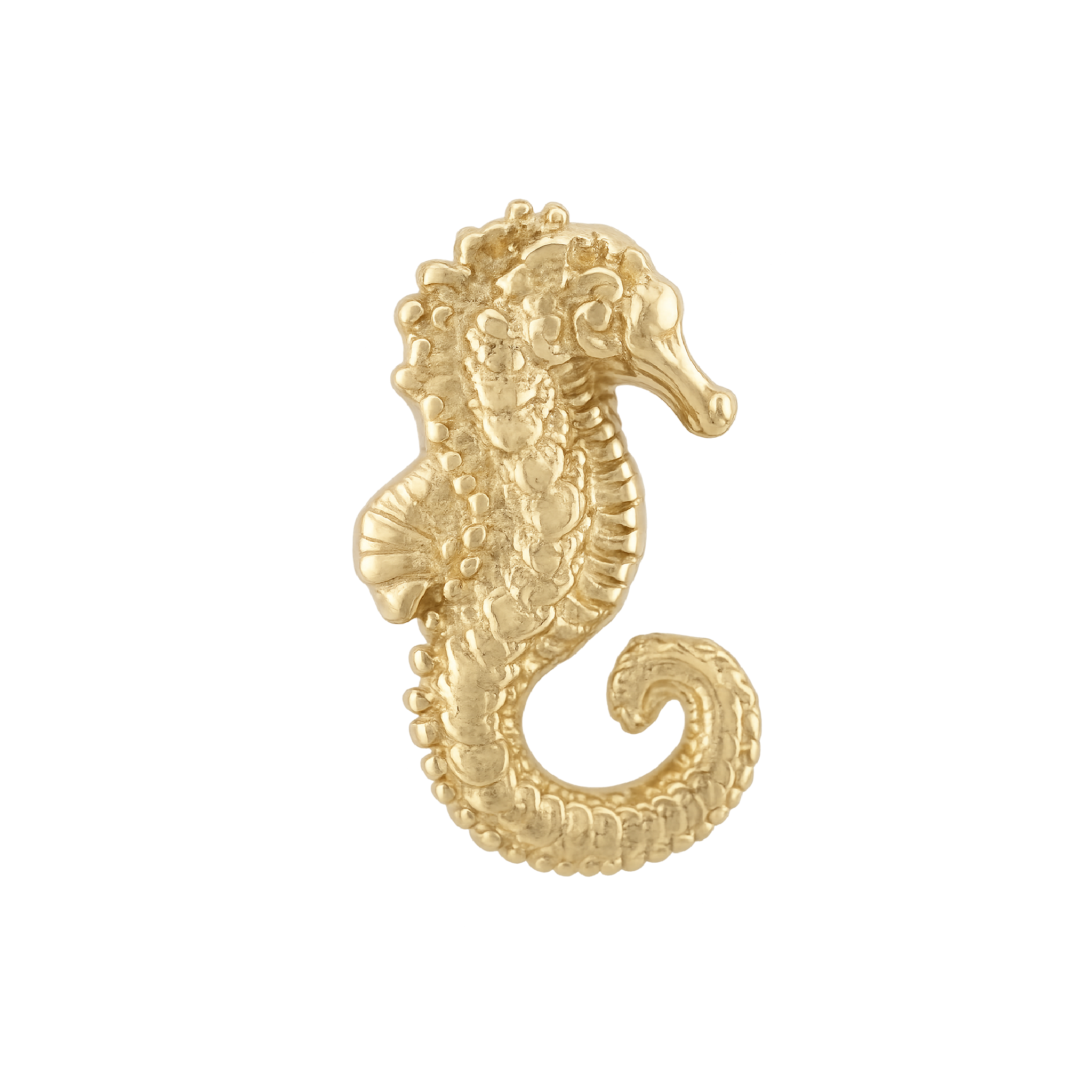 Anatometal - Seahorse