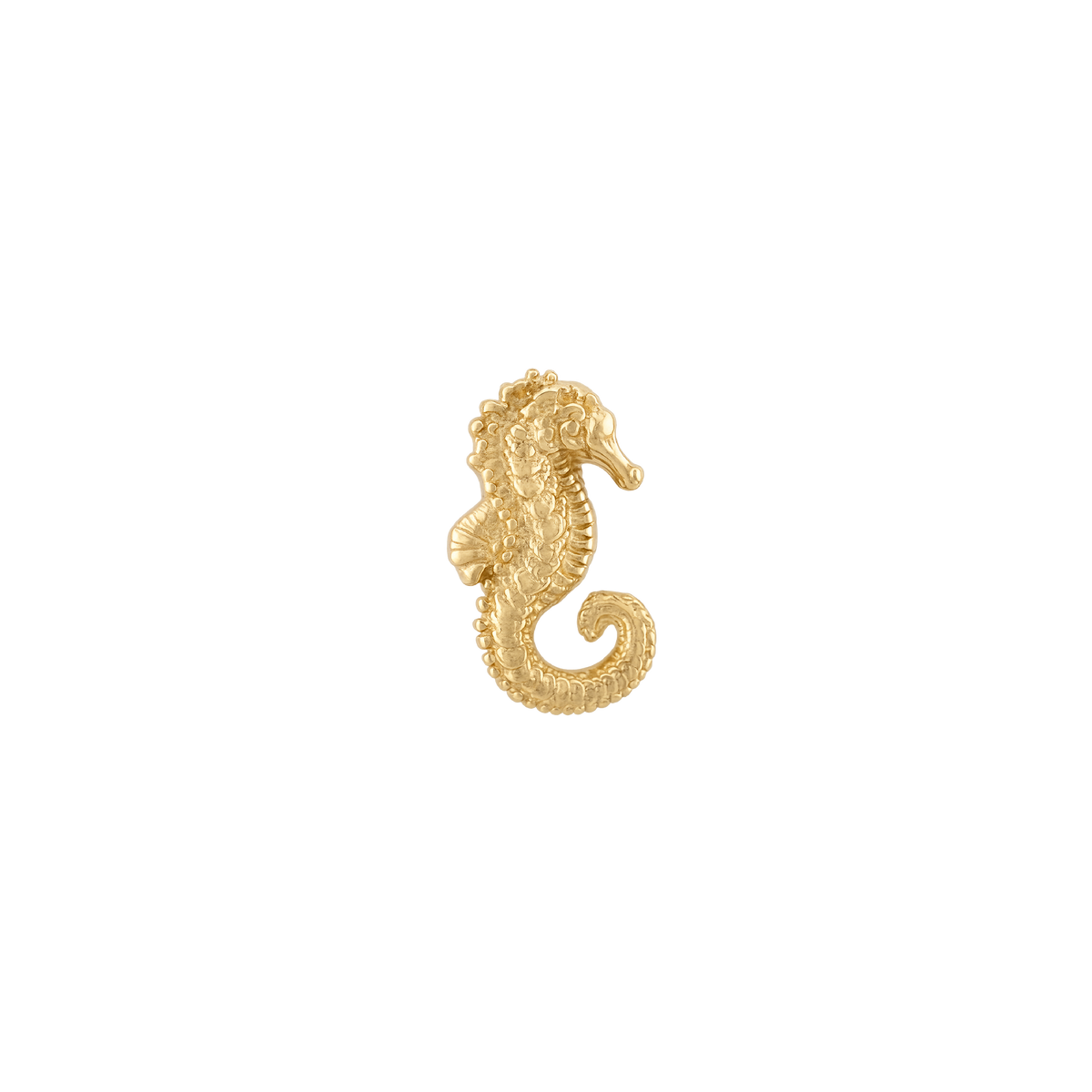 Anatometal - Seahorse