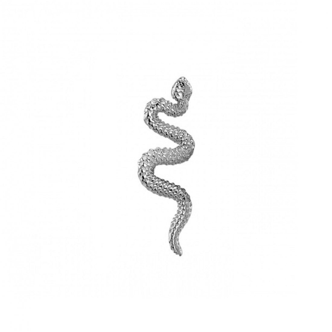 BVLA - Delicate Snake-thumbmail-2