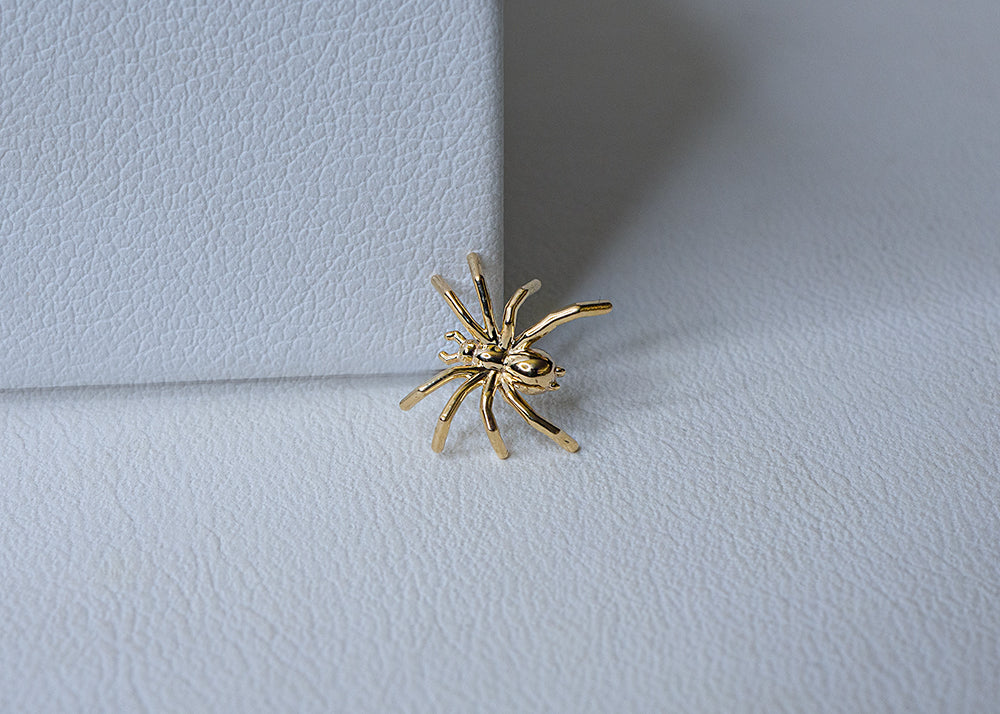 Tawapa - Spider