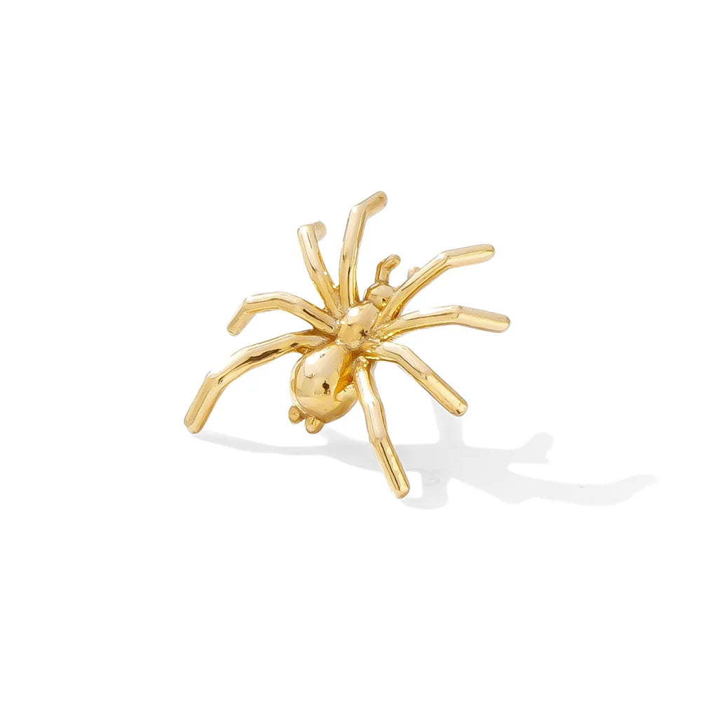 Tawapa - Spider